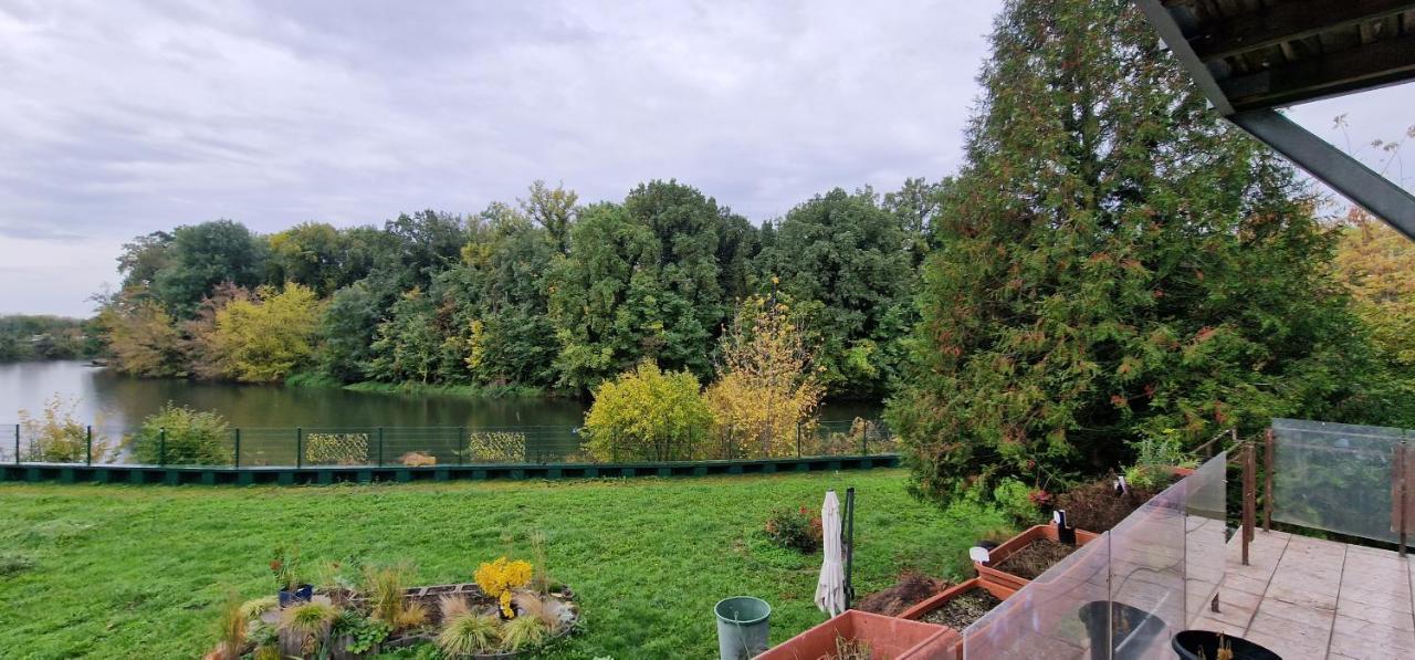 Darkwolf House Apartment Merseburg