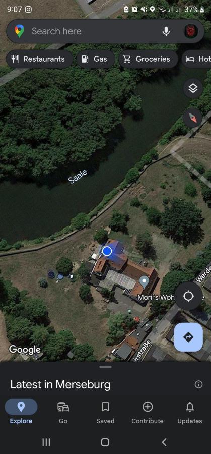 Darkwolf House Merseburg