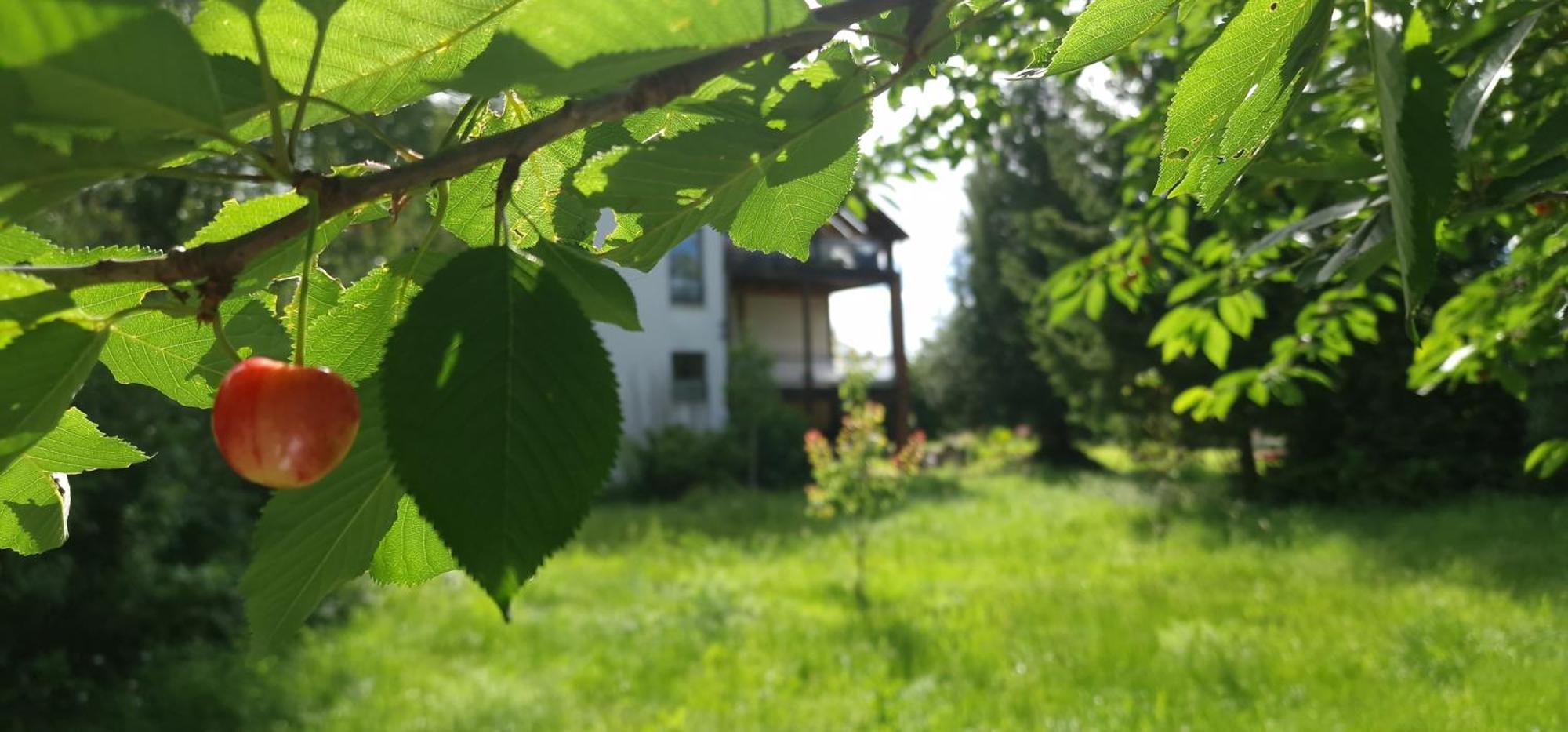 Darkwolf House Apartment Merseburg