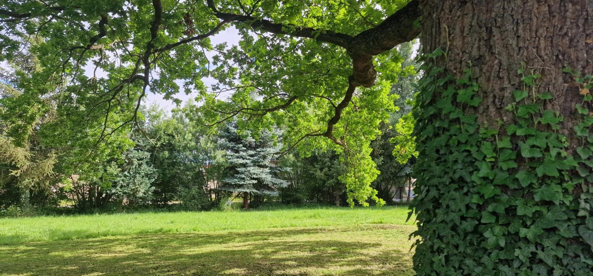 Darkwolf House Apartment Merseburg