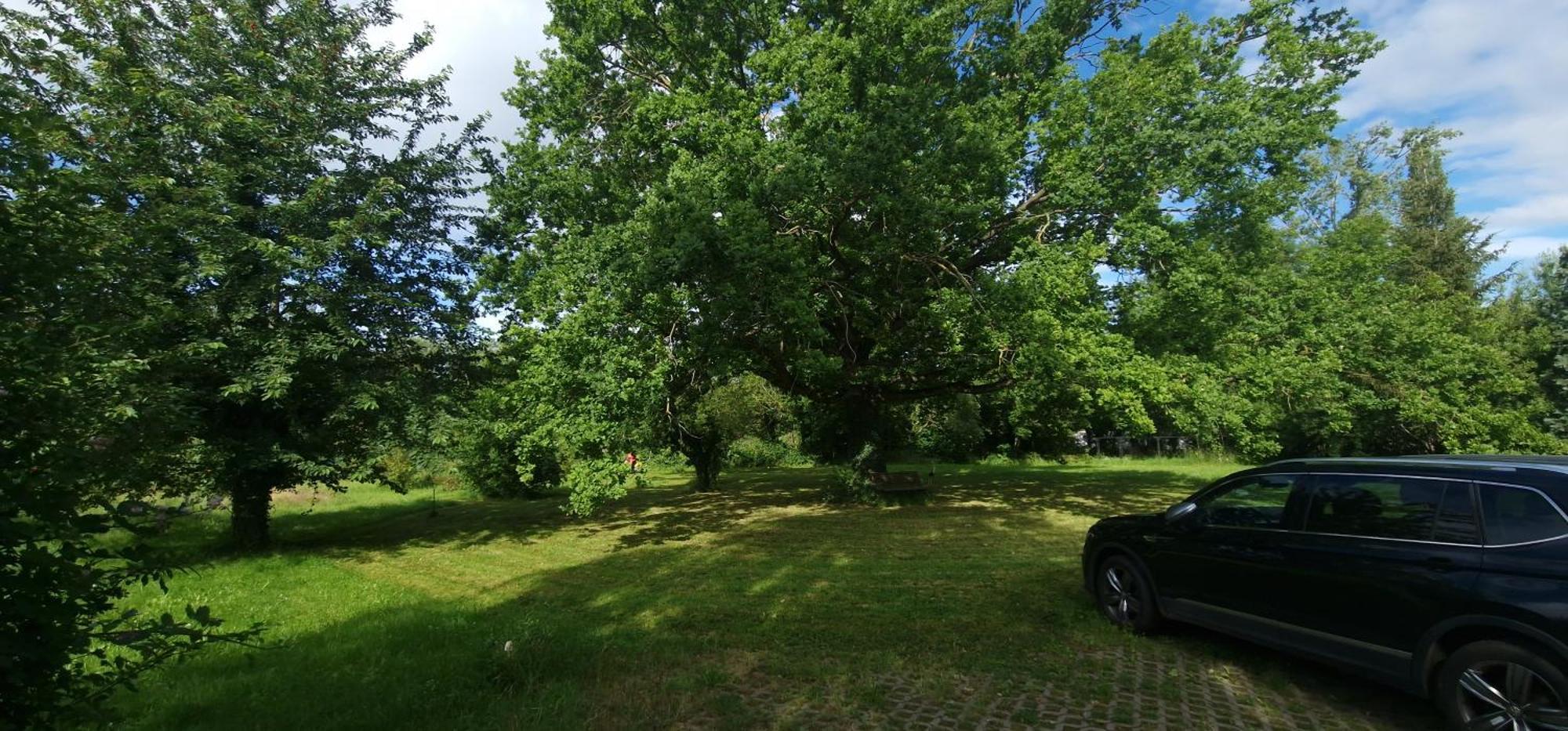 Darkwolf House Apartment Merseburg